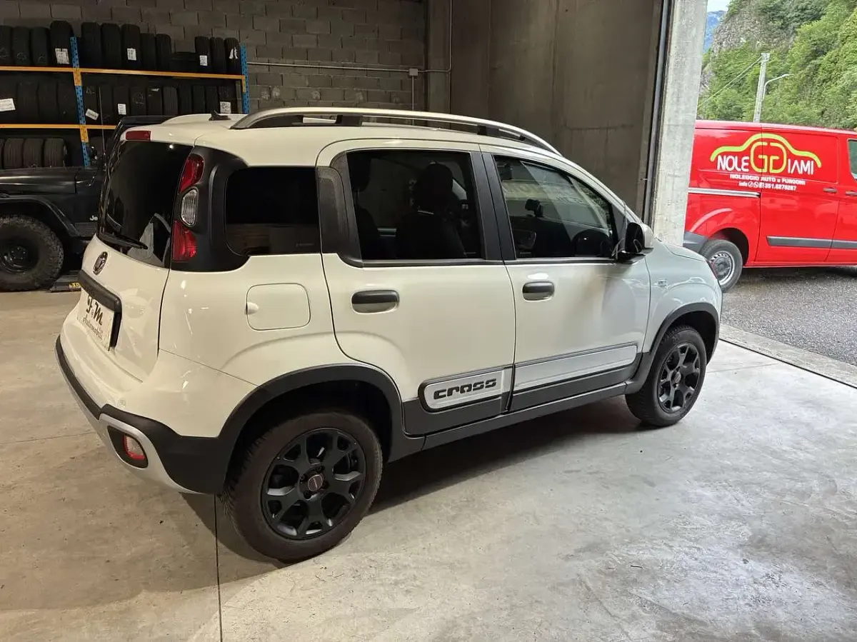 Usata Fiat Panda Cross Cross 86 CV (63 kW) 2019 Other Utilitaria