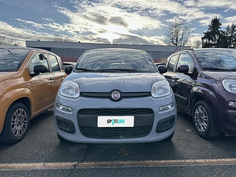 Usata Fiat Panda Easy 69 CV (50 kW) 2017 Grigio Utilitaria