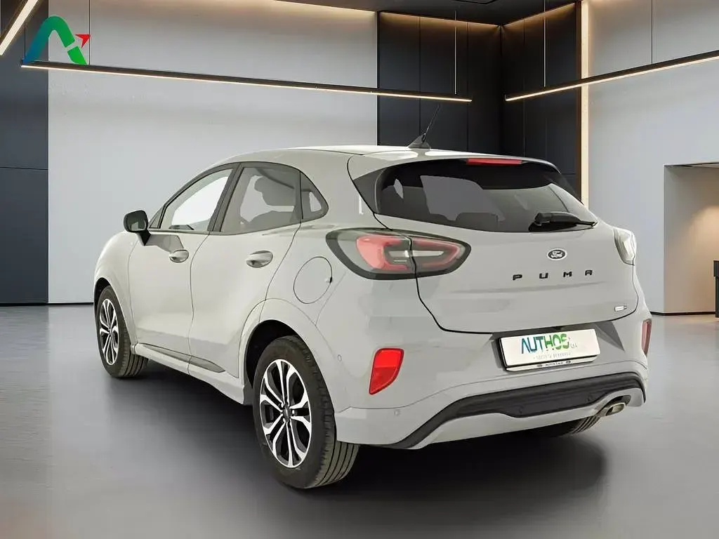 Usata Ford Puma ST-Line 125 CV (91 kW) 2021 Grigio SUV