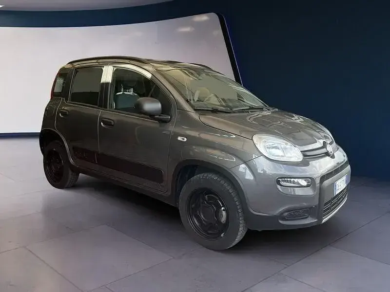 Usata Fiat Panda 4x4 S 85 CV (62 kW) 2020 Giallo Utilitaria
