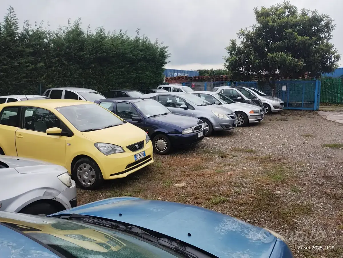 Usata Fiat Punto 80 CV (58 kW) 2009 Utilitaria