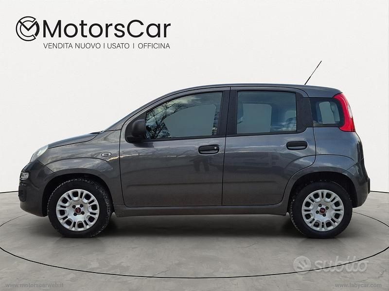 Usata Fiat Panda Easy 69 CV (50 kW) 2019 Grigio Utilitaria