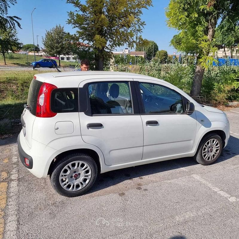 Usata Fiat Panda 69 CV (50 kW) 2017 Bianco Berlina