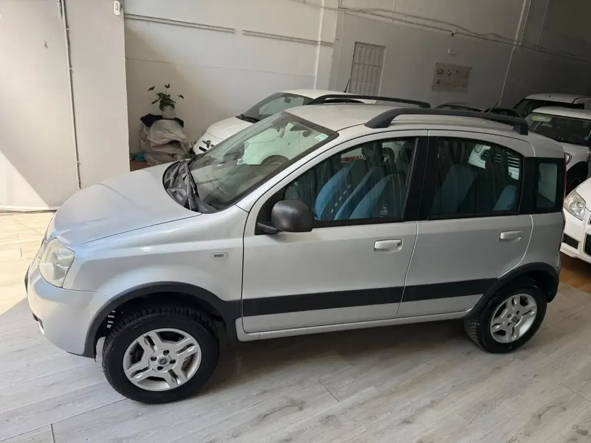 Usata Fiat Panda 4x4 69 CV (50 kW) 2008 Argento Utilitaria