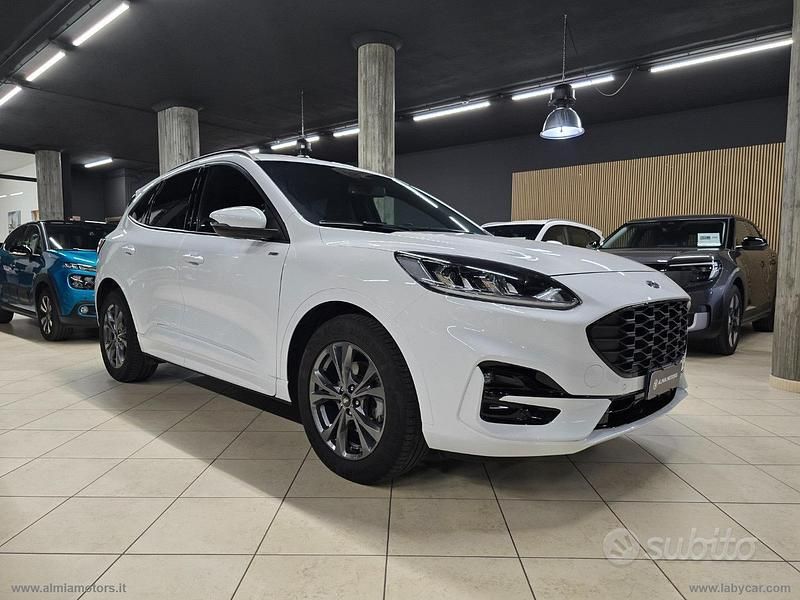 Usata Ford Kuga ST-Line 120 CV (88 kW) 2023 Bianco SUV