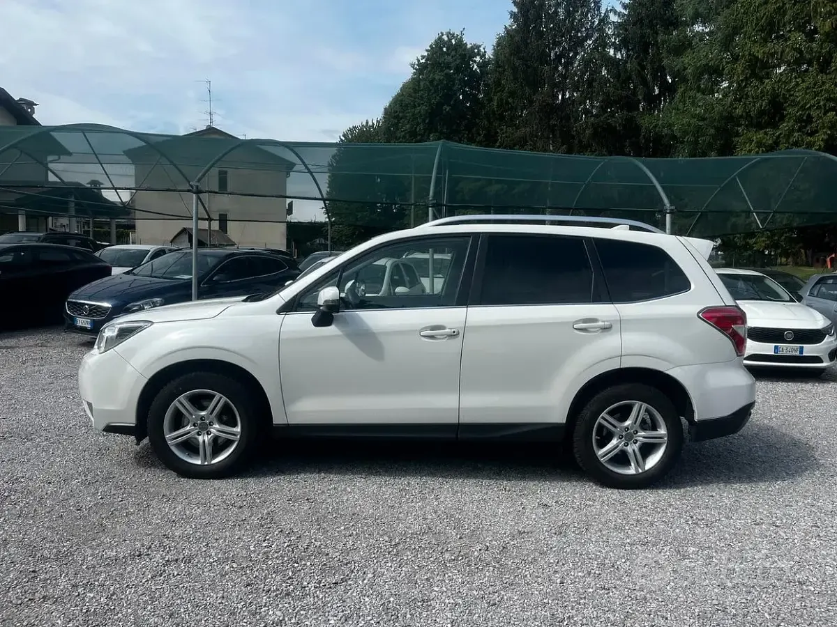 Usata Subaru Forester Exclusive+ 147 CV (108 kW) 2015 Bianco SUV