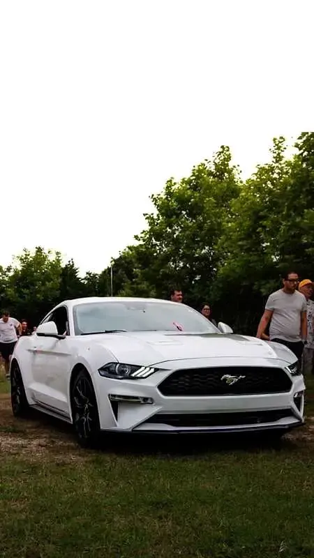 Usata Ford Mustang Fastback 290 CV (213 kW) 2019 Coupé