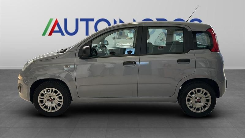 Usata Fiat Panda City Life 69 CV (50 kW) 2022 Grigio Utilitaria