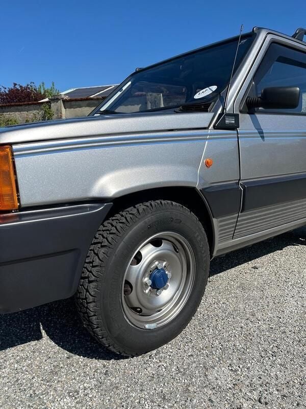 Usata Fiat Panda 54 CV (39 kW) 2002 Argento Utilitaria