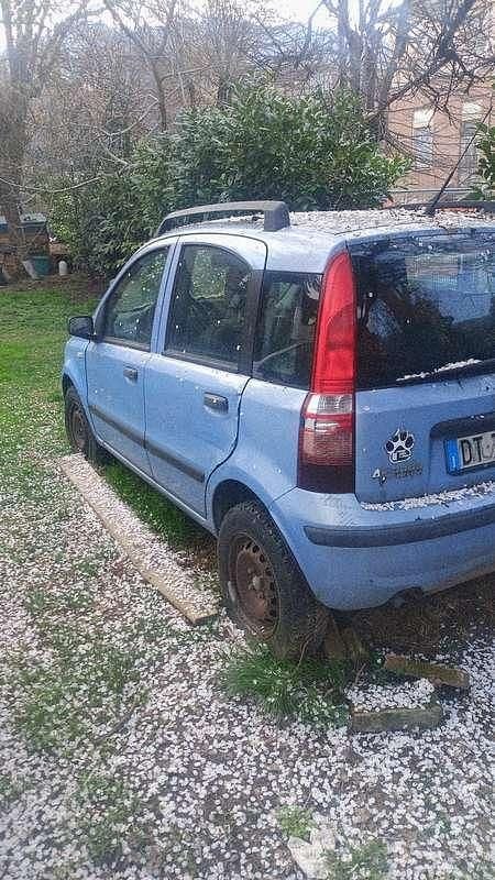 Usata Fiat Panda Active 54 CV (39 kW) 2009 Utilitaria