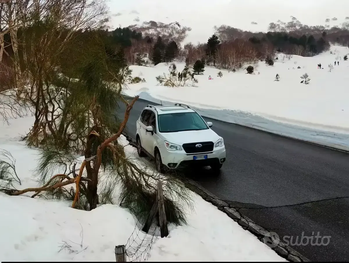Usata Subaru Forester 150 CV (110 kW) 2014 Bianco SUV