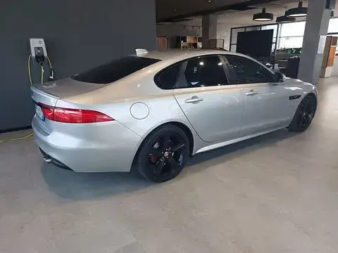 Usata Jaguar XF R-Sport 241 CV (177 kW) 2018 Berlina