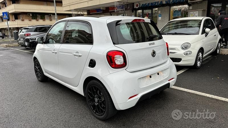 Usata Smart ForFour Passion 90 CV (66 kW) 2019 Bianco Utilitaria