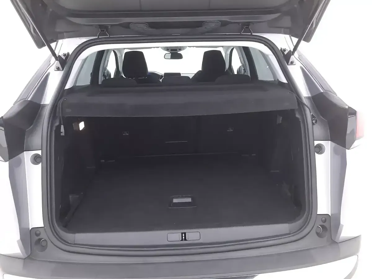 Usata Peugeot 3008 Business-Line 131 CV (96 kW) 2020 Argentoargento SUV