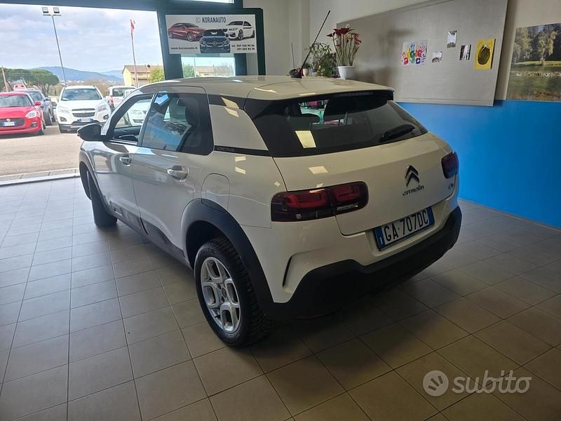 Usata Citroën C4 Cactus Shine 2020 Bianco Utilitaria