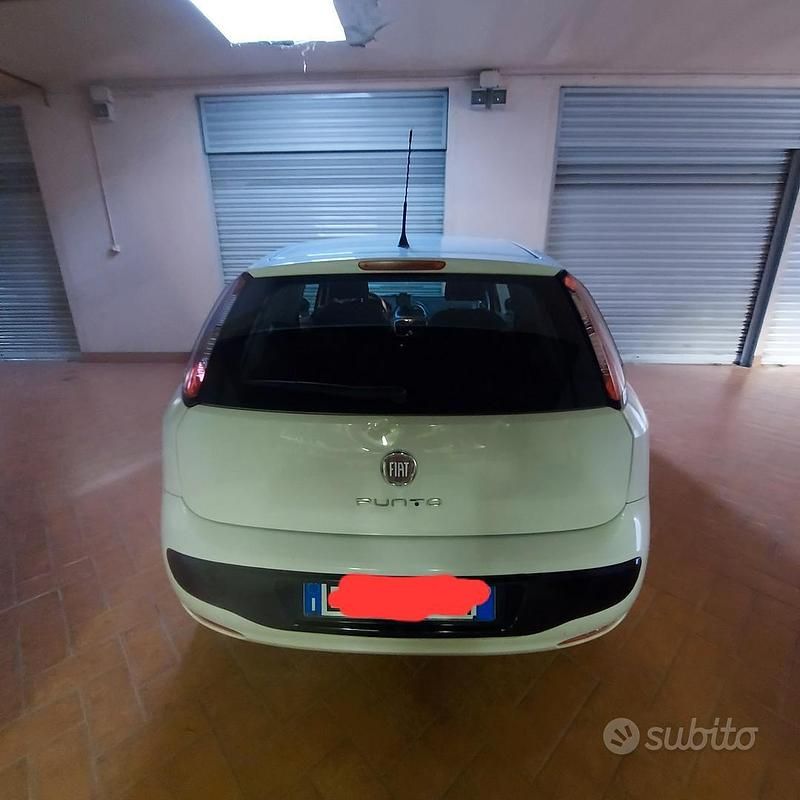 Usata Fiat Punto Evo 2011 Bianco Utilitaria