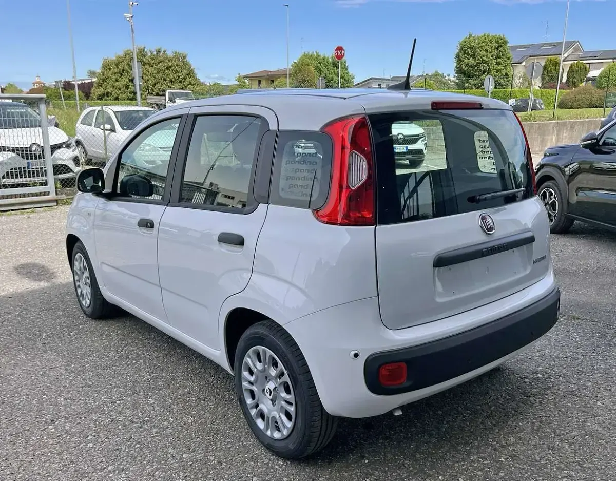Nuova Fiat Panda Icon 65 CV (47 kW) 2025 Bianco gelato Utilitaria