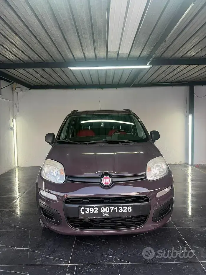 Usata Fiat Panda Lounge 80 CV (58 kW) 2013 Viola Utilitaria