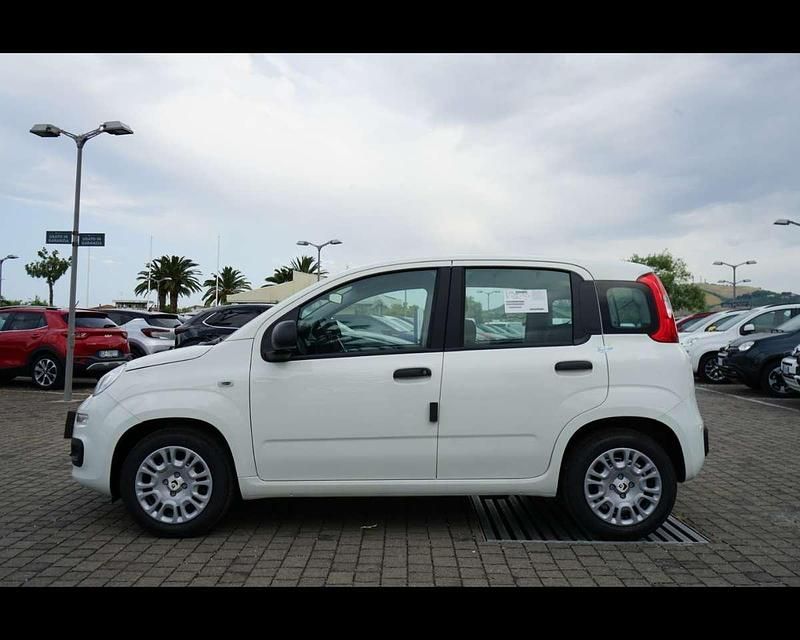 Nuova Fiat Panda 70 CV (51 kW) 2025 Bianco Utilitaria