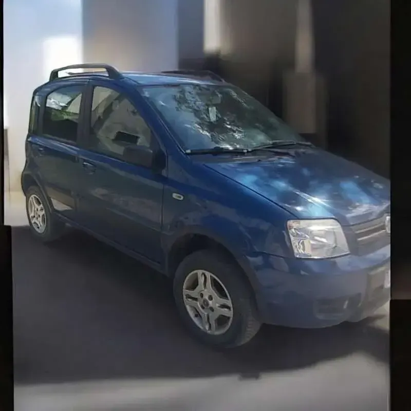 Usata Fiat Panda 4x4 69 CV (50 kW) 2006 Utilitaria