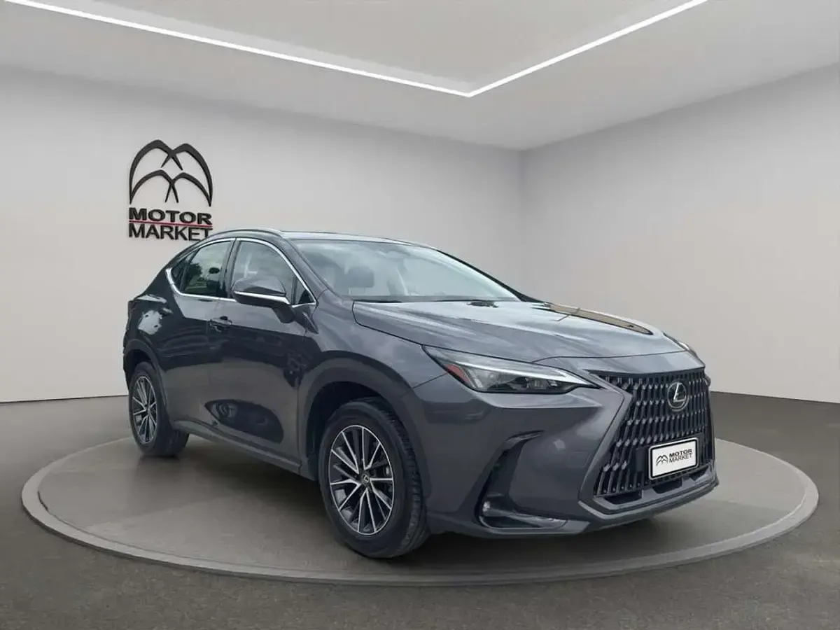 Usata Lexus NX200t Business Edition 243 CV (178 kW) 2023 Grigio / gray SUV