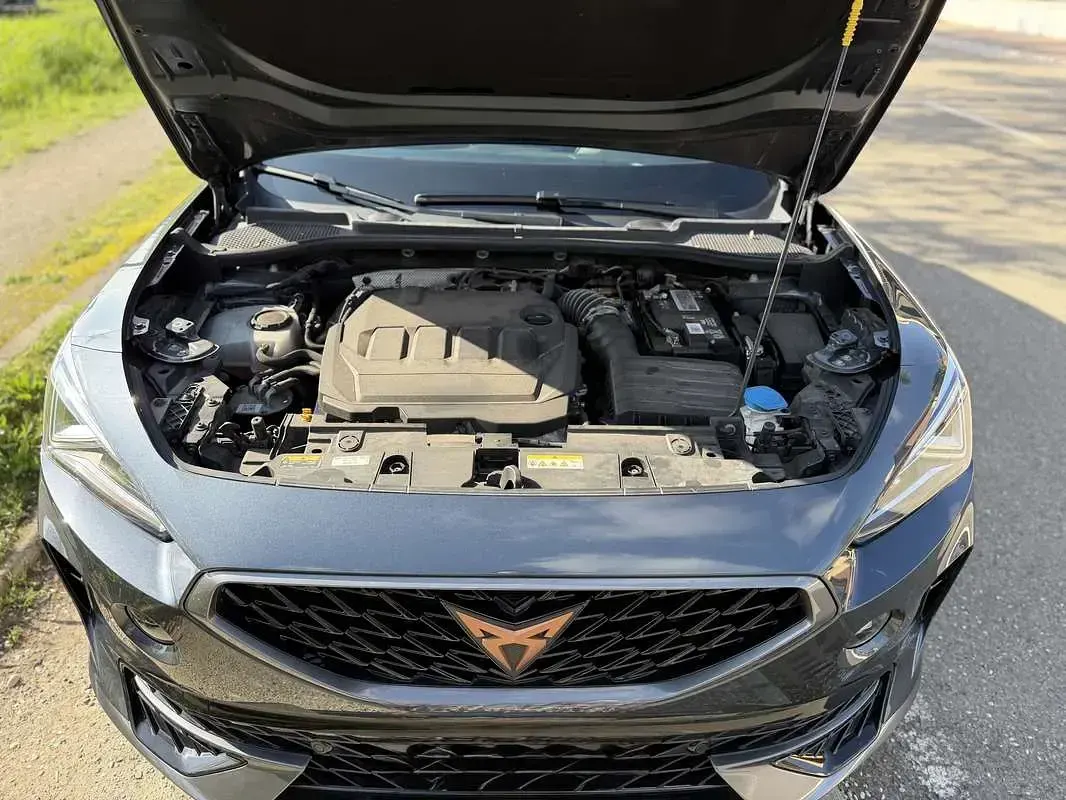 Usata Cupra Formentor 150 CV (110 kW) 2021 SUV