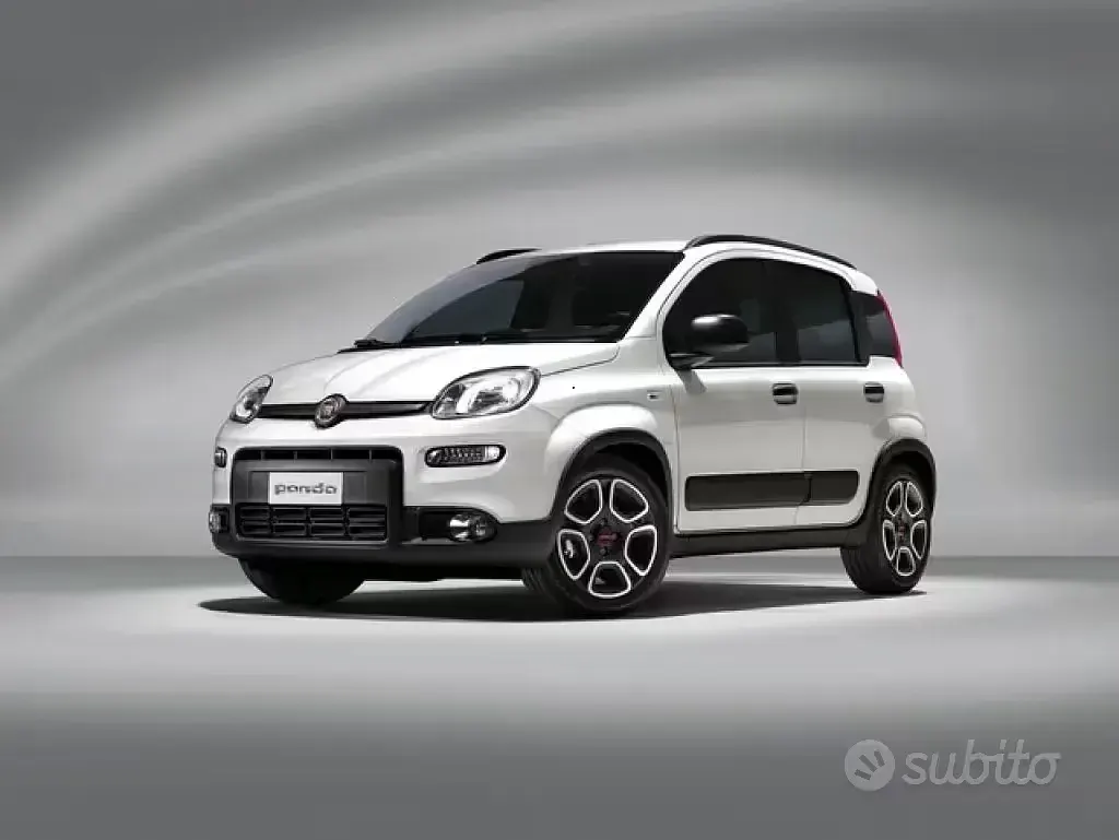 Usata Fiat Panda City Life 69 CV (50 kW) 2023 Bianco Utilitaria