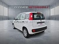 Usata Fiat Panda Street 69 CV (50 kW) 2021 Bianco Utilitaria