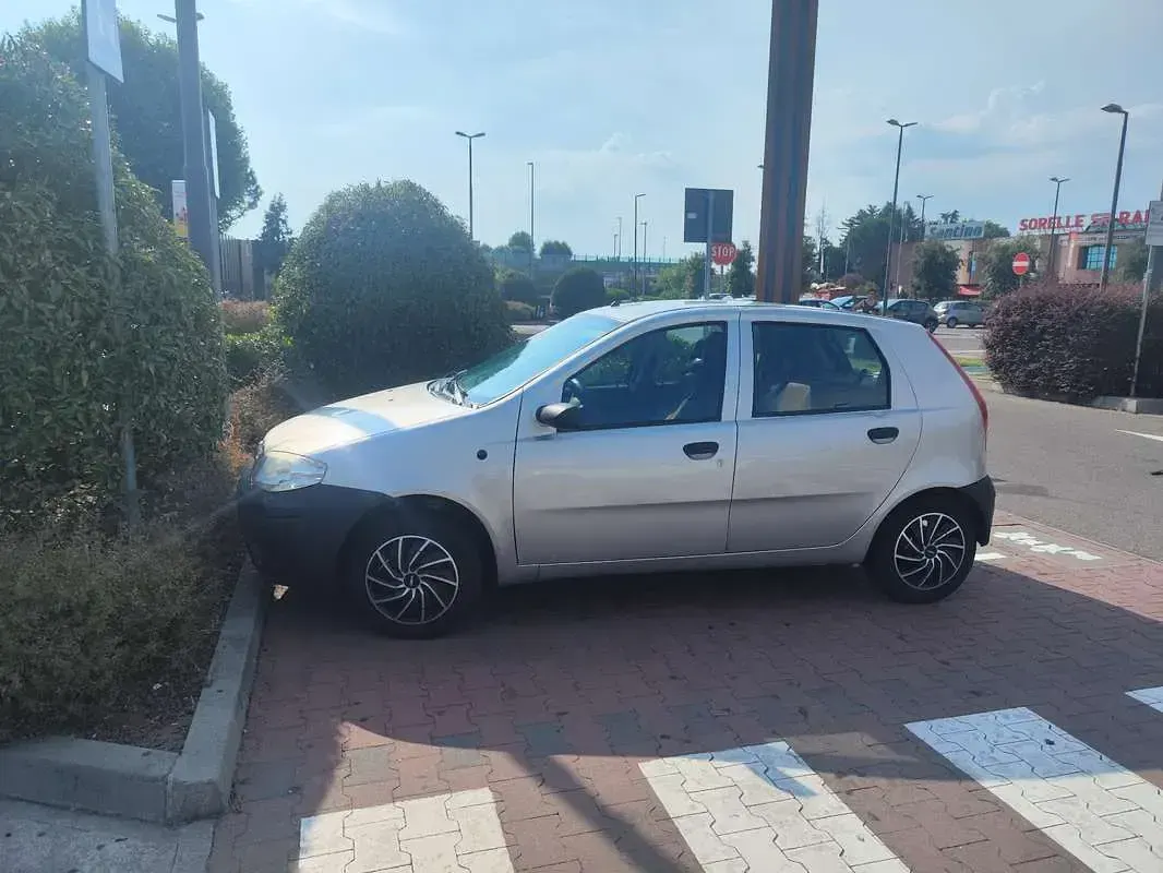Usata Fiat Punto 60 CV (44 kW) 2005 Grigio Utilitaria