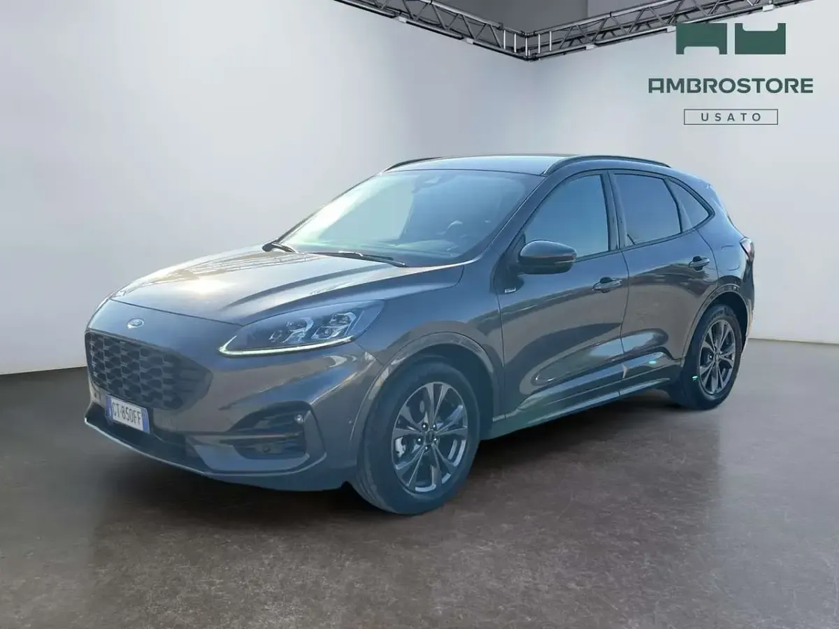 Occasion Ford Kuga ST-Line X 190 ch (139 kW) 2024 SUV