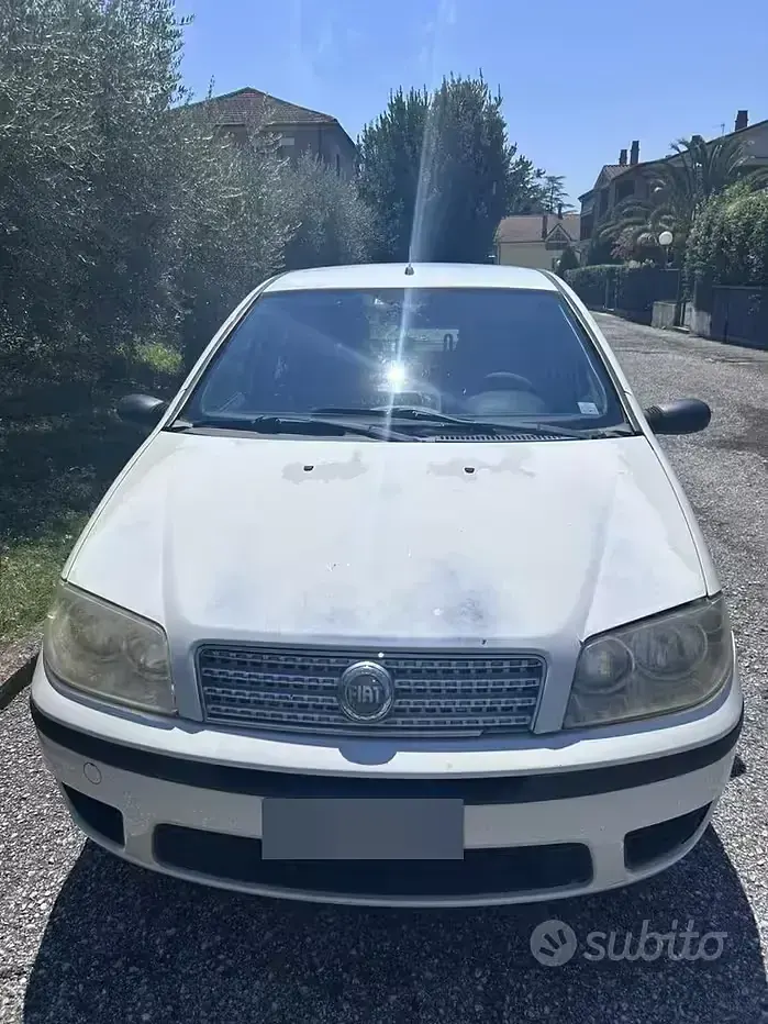 Usata Fiat Punto 60 CV (44 kW) 2008 Bianco Utilitaria