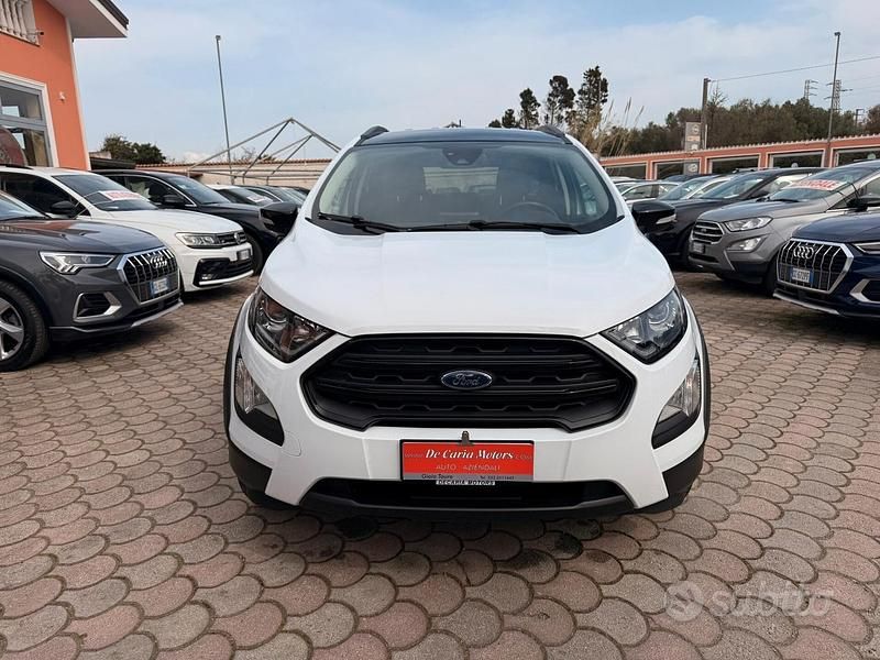 Usata Ford Ecosport Active 125 CV (91 kW) 2022 Bianco SUV