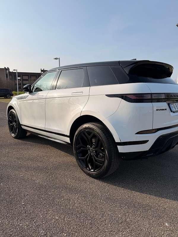 Usata Land Rover Range Rover evoque HSE Dynamic 150 CV (110 kW) 2019 Bianco SUV