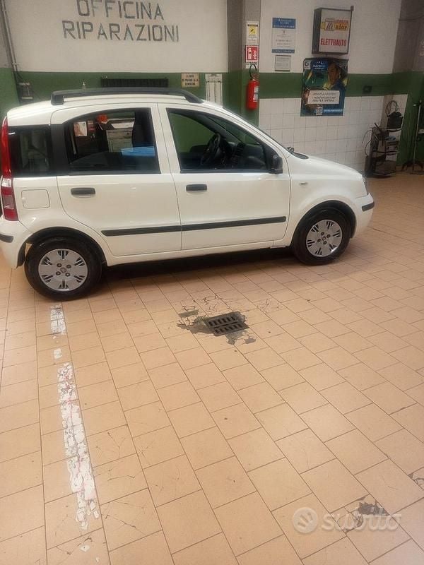 Usata Fiat Panda Dynamic 60 CV (44 kW) 2009 Bianco Utilitaria