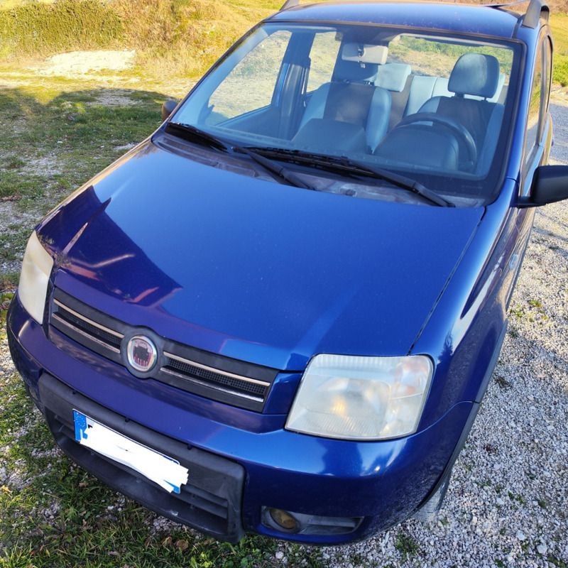 Usata Fiat Panda Climbing 60 CV (44 kW) 2009 Blu Utilitaria