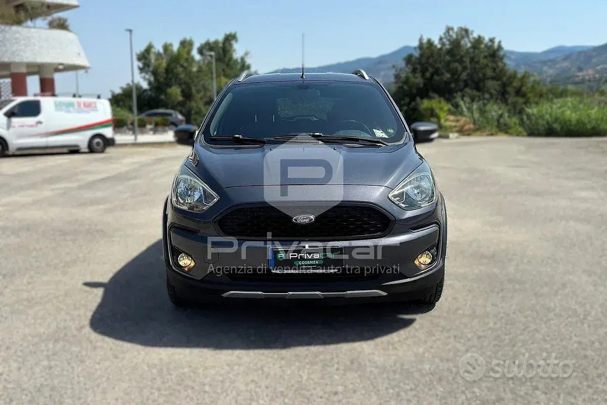Usata Ford Ka Plus Active 86 CV (63 kW) 2019 Grigio Utilitaria