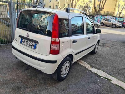 Usato 2012 Fiat Panda 4x4 1.2 Benzin 60 CV (4.900 €)