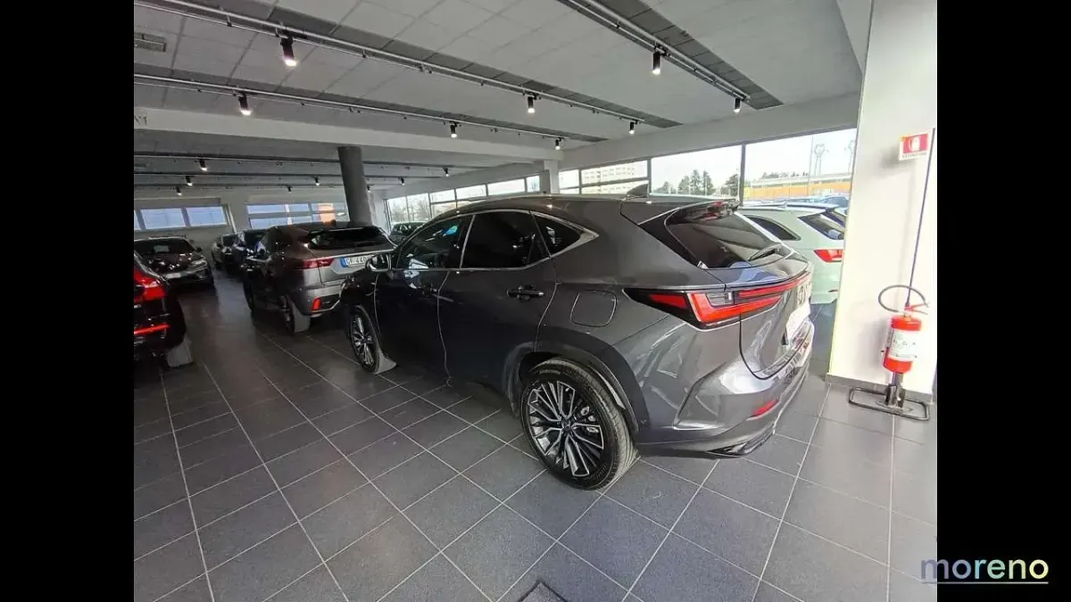 Usata Lexus NX350h Luxury Line 190 CV (139 kW) 2023 Other Utilitaria