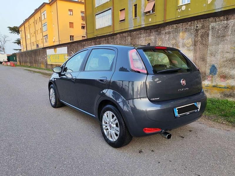 Usata Fiat Punto Lounge 75 CV (55 kW) 2014 Grigio Utilitaria