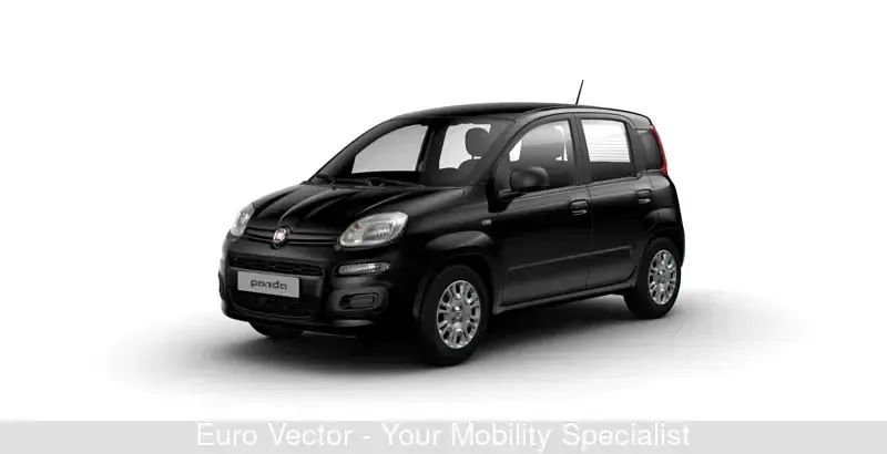 Usata Fiat Panda Icon 70 CV (51 kW) 2024 Utilitaria