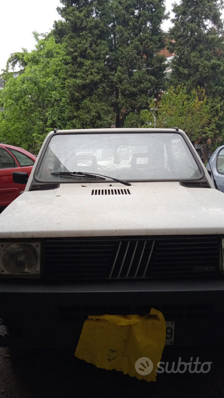 Usato 1992 Fiat Panda 0.8 LPG_Hybrid 34 CV (1.200 €)