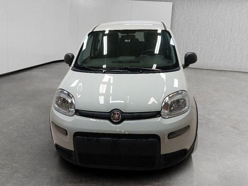 Usata Fiat Panda S 69 CV (50 kW) 2024 Bianco Utilitaria