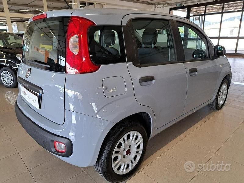 Usata Fiat Panda Easy 69 CV (50 kW) 2018 Grigio Utilitaria