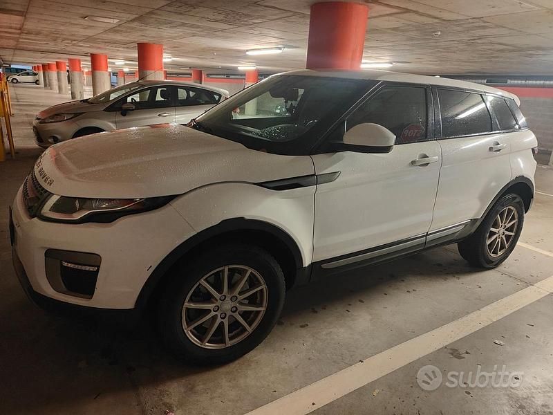 Usata Land Rover Range Rover evoque 150 CV (110 kW) 2016 Bianco SUV