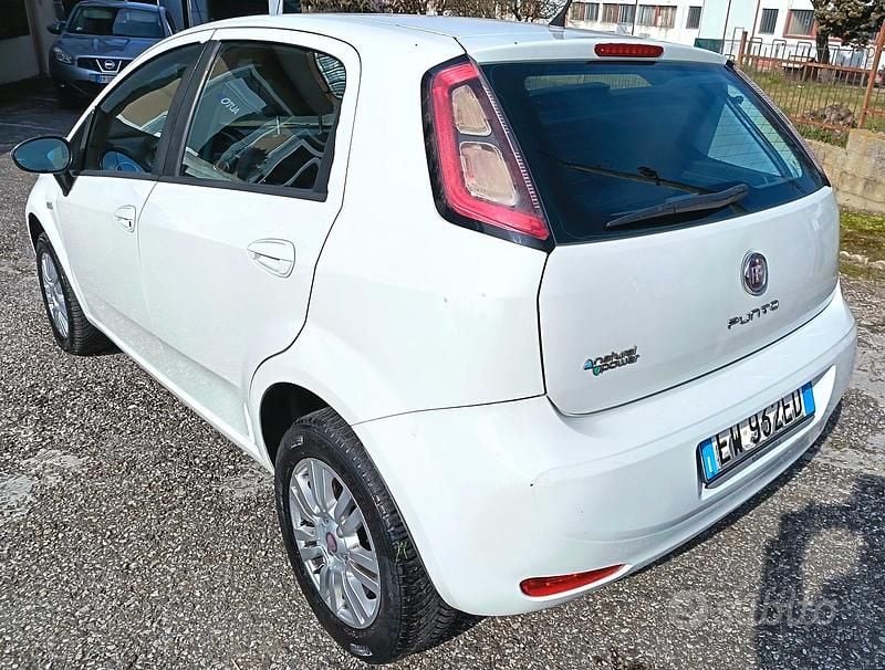 Usata Fiat Punto 69 CV (50 kW) 2014 Bianco Utilitaria