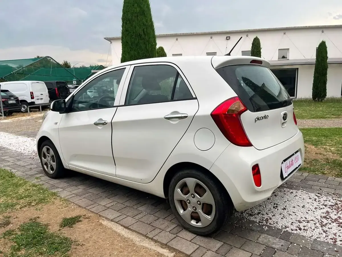 Usata Kia Picanto 67 CV (49 kW) 2014 Bianca Utilitaria
