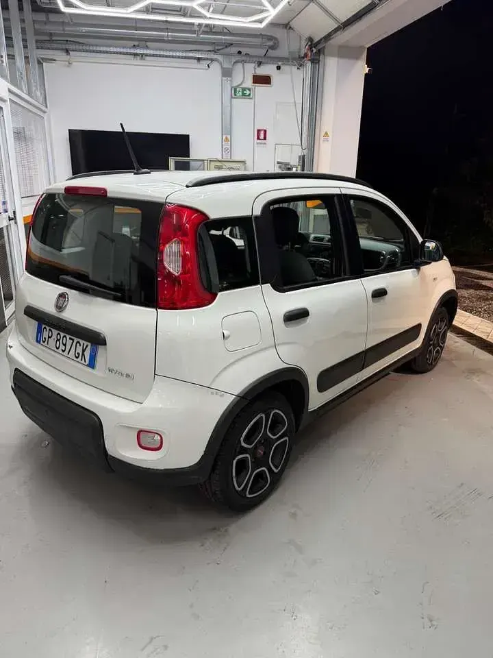 Usata Fiat Panda S 71 CV (52 kW) 2022 Bianco Utilitaria