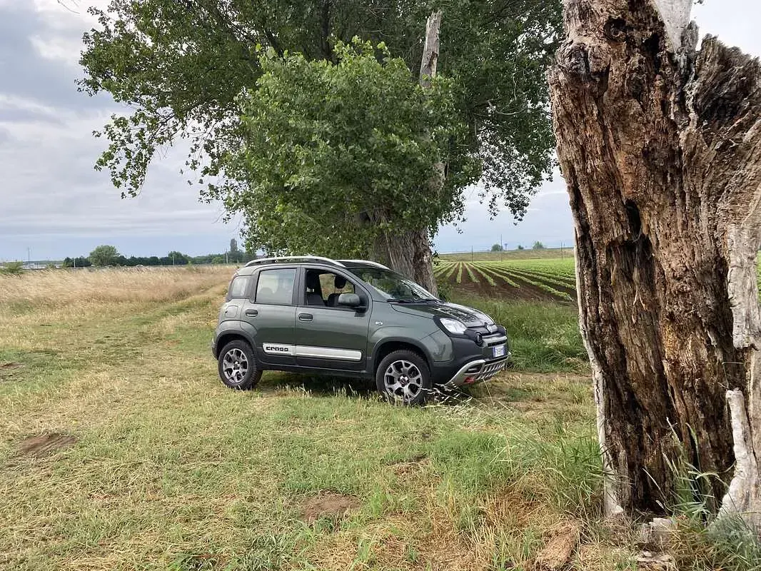 Usata Fiat Panda Cross Cross 86 CV (63 kW) 2020 Utilitaria