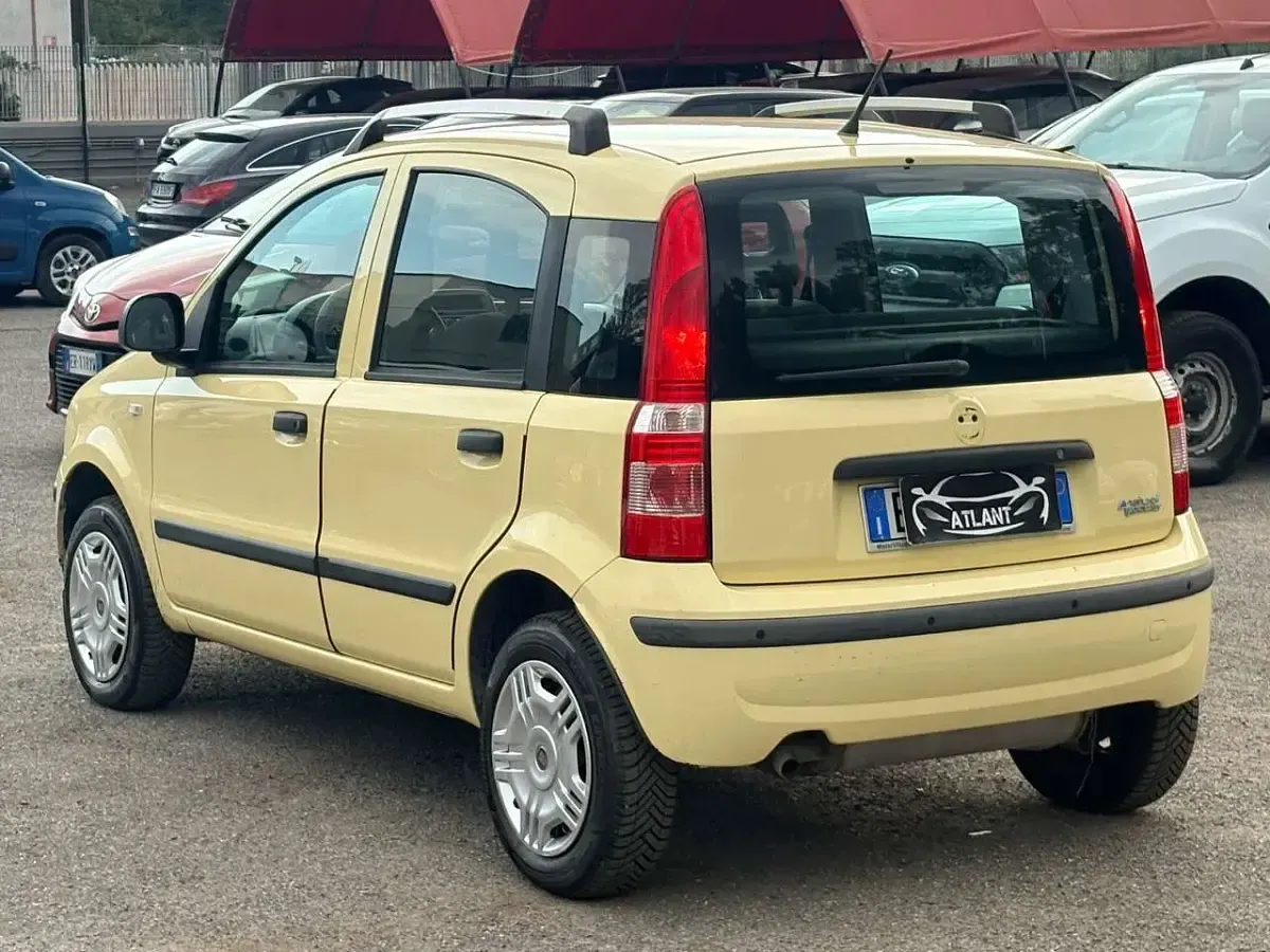 Usata Fiat Panda Dynamic 77 CV (56 kW) 2012 Giallo Utilitaria