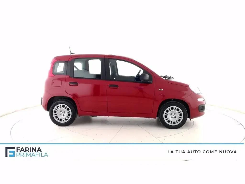 Nuova Fiat Panda S 69 CV (50 kW) 2025 Rosso passione pastello Utilitaria
